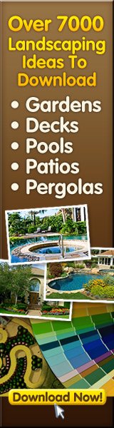 7000+ Landscaping Ideas